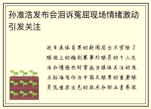 孙准浩发布会泪诉冤屈现场情绪激动引发关注 孙准浩发布会泪诉冤屈现场情绪激动引发关注